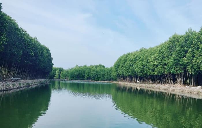KDL Ty Ty Rạch Gốc