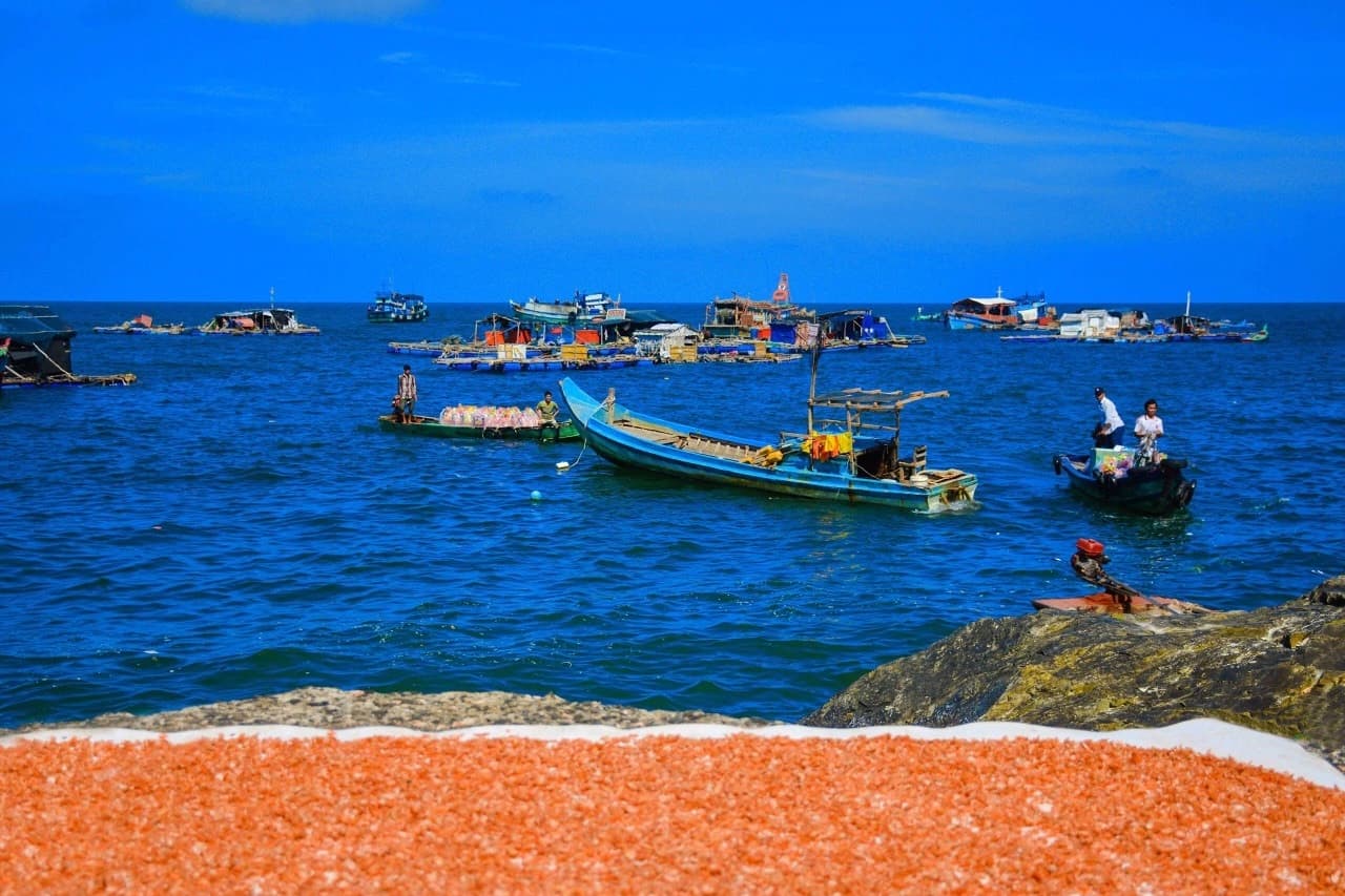 TP. Cà Mau ⇄ Thị trấn Sông Đốc